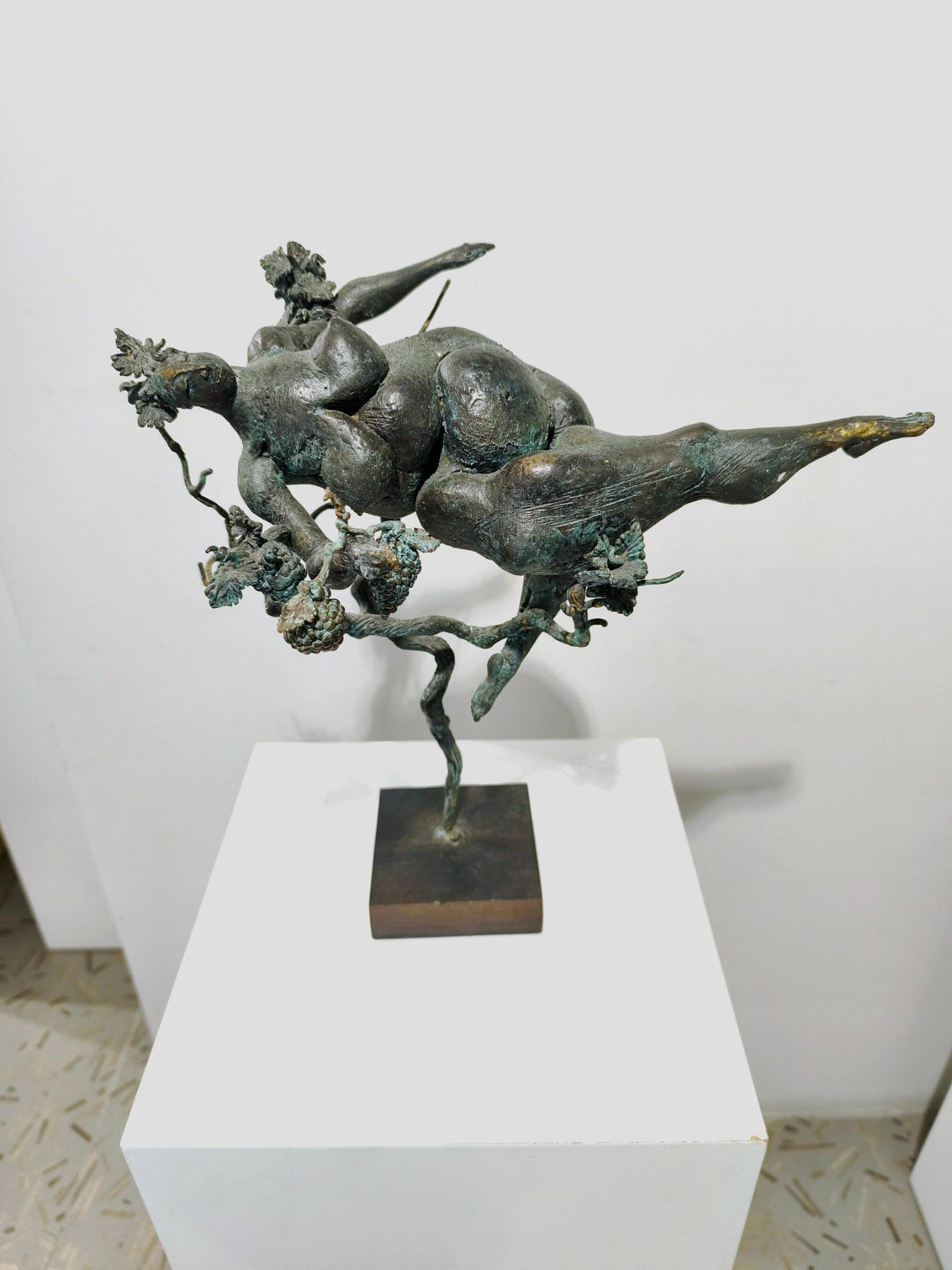 Везни, Д. Рашков