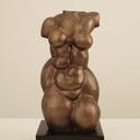 Женски Торс thumbnail 1