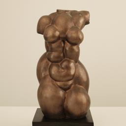 Женски Торс thumbnail 1