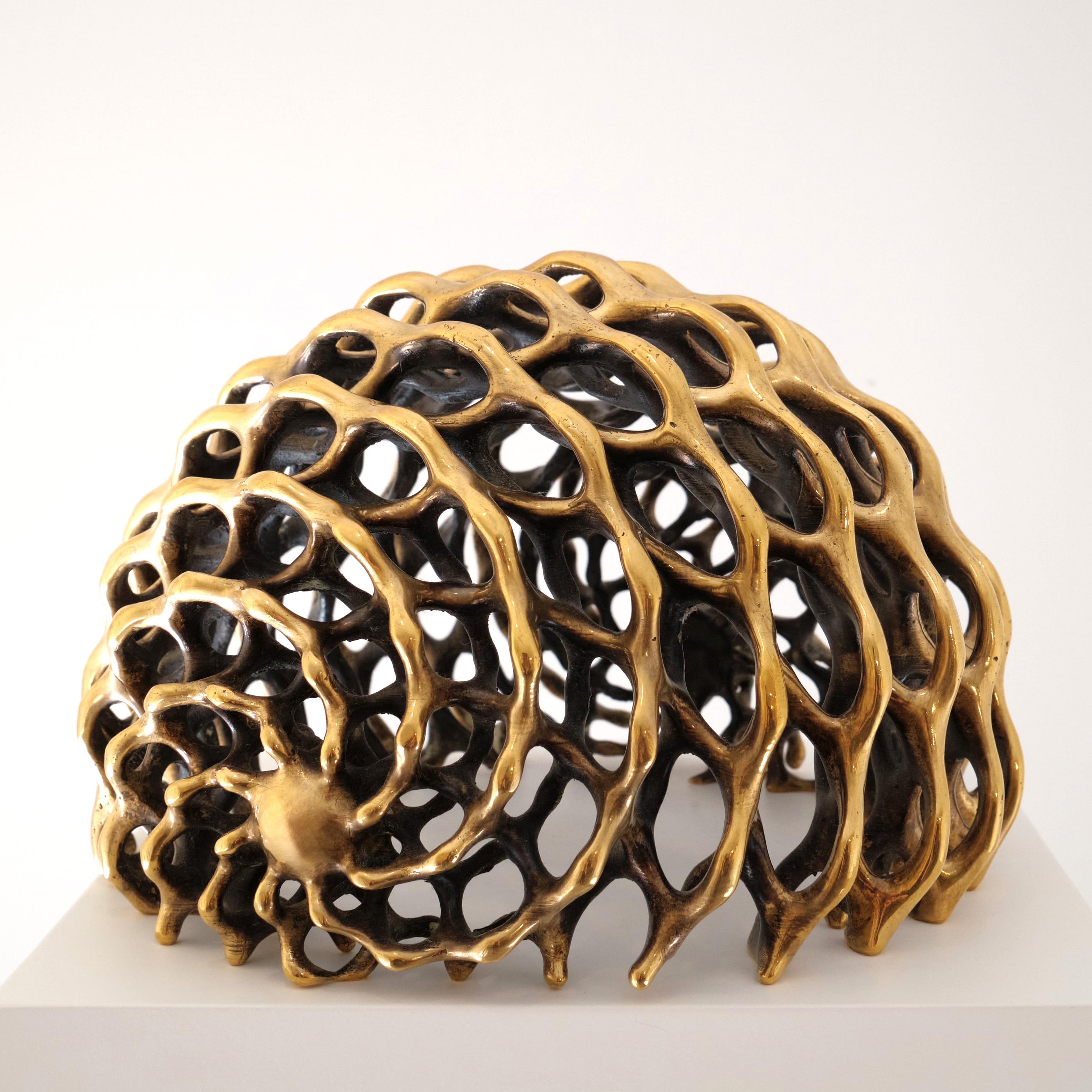 Органична геометрия - Половин сфера