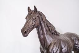 Малък кон thumbnail 3