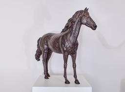 Малък кон thumbnail 1