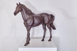 Малък кон thumbnail 2