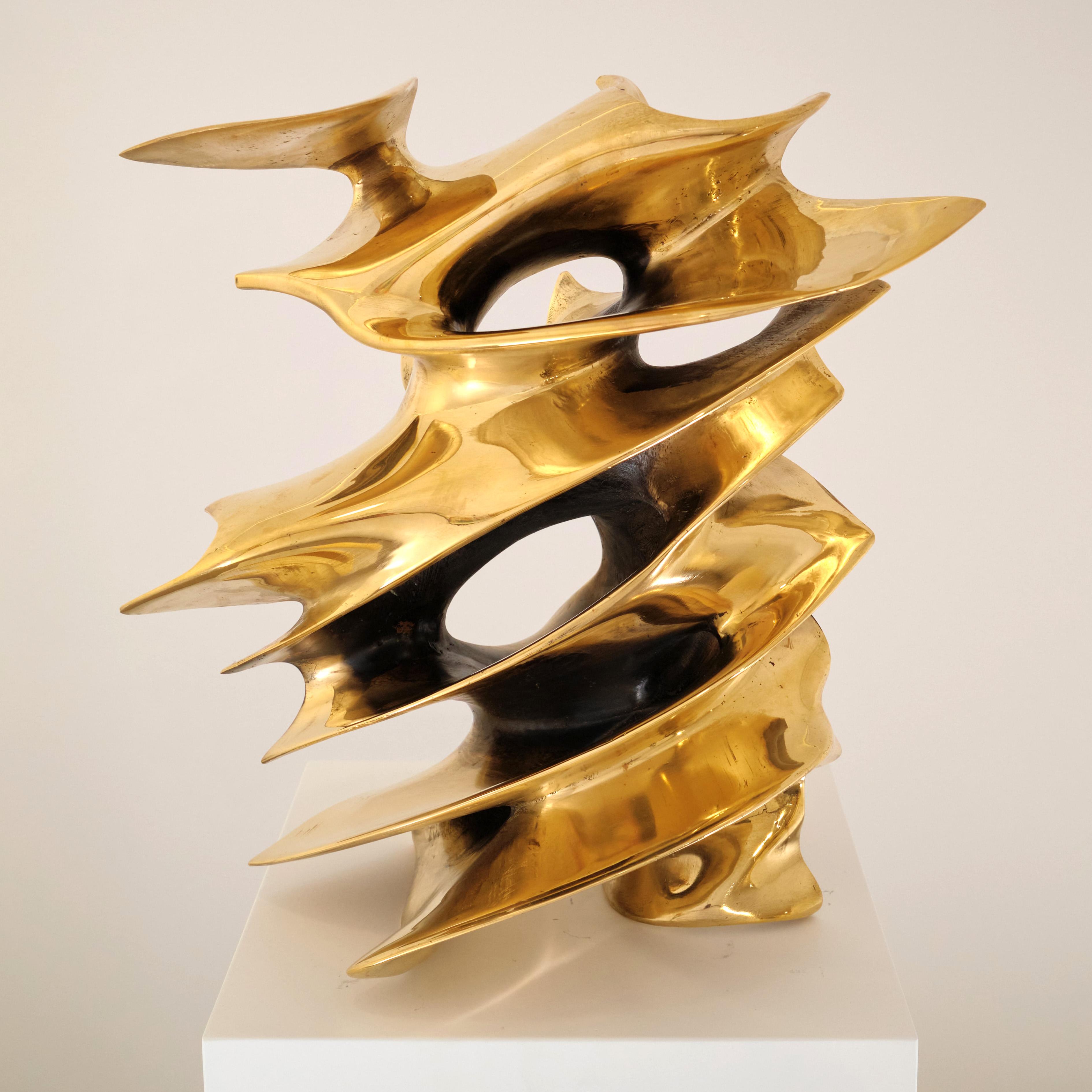 Фрагмент от жироид