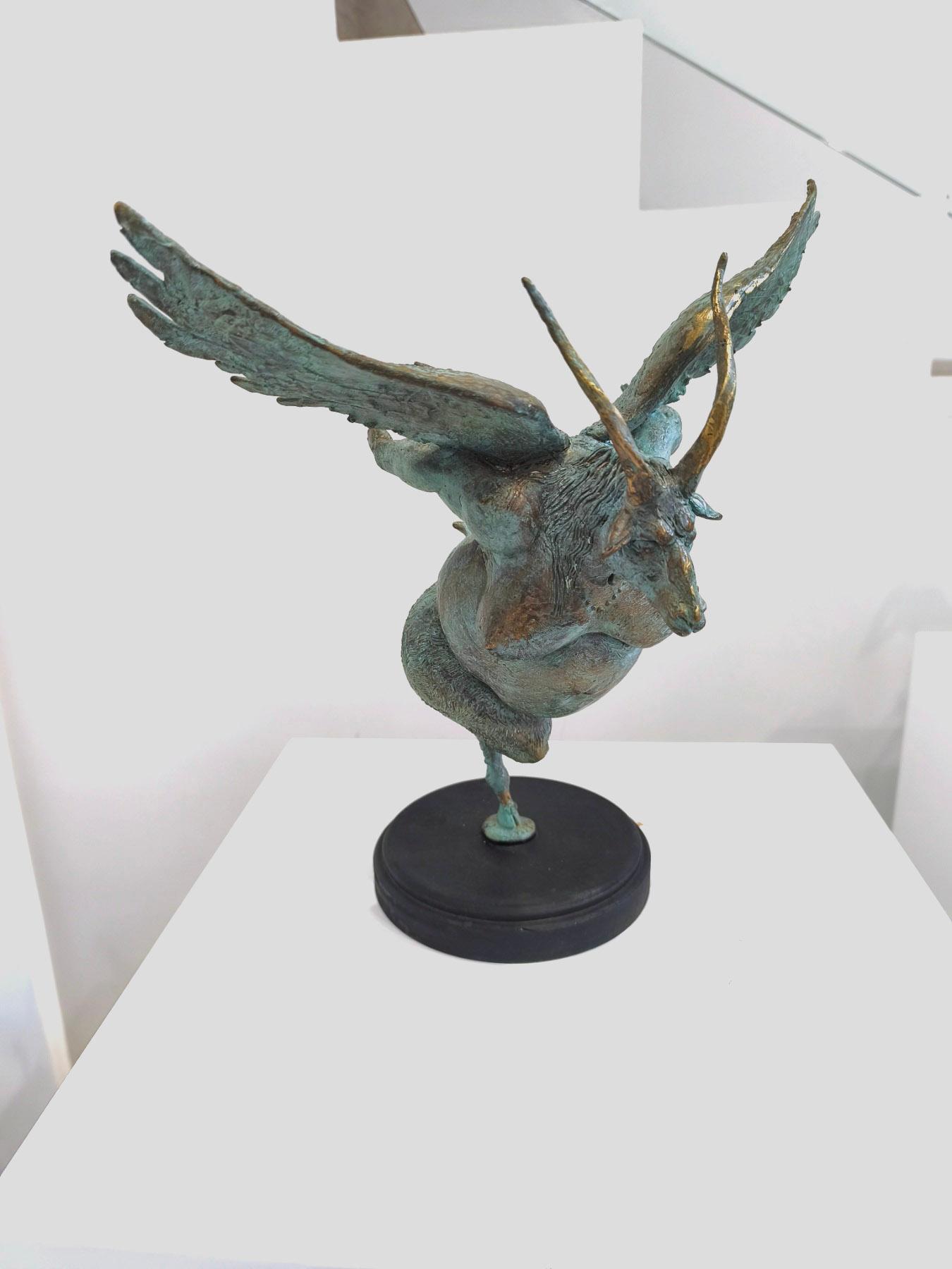 Козирог, Д. Рашков