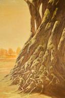 Корабът на глупците II thumbnail 2