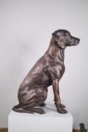 Куче thumbnail 5