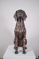 Куче thumbnail 3