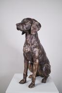 Куче thumbnail 1