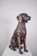 Куче thumbnail 2