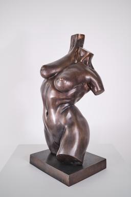 Женски торс I thumbnail 2