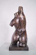 Женски торс I thumbnail 3