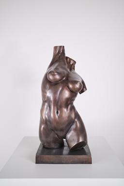 Женски торс I thumbnail 1