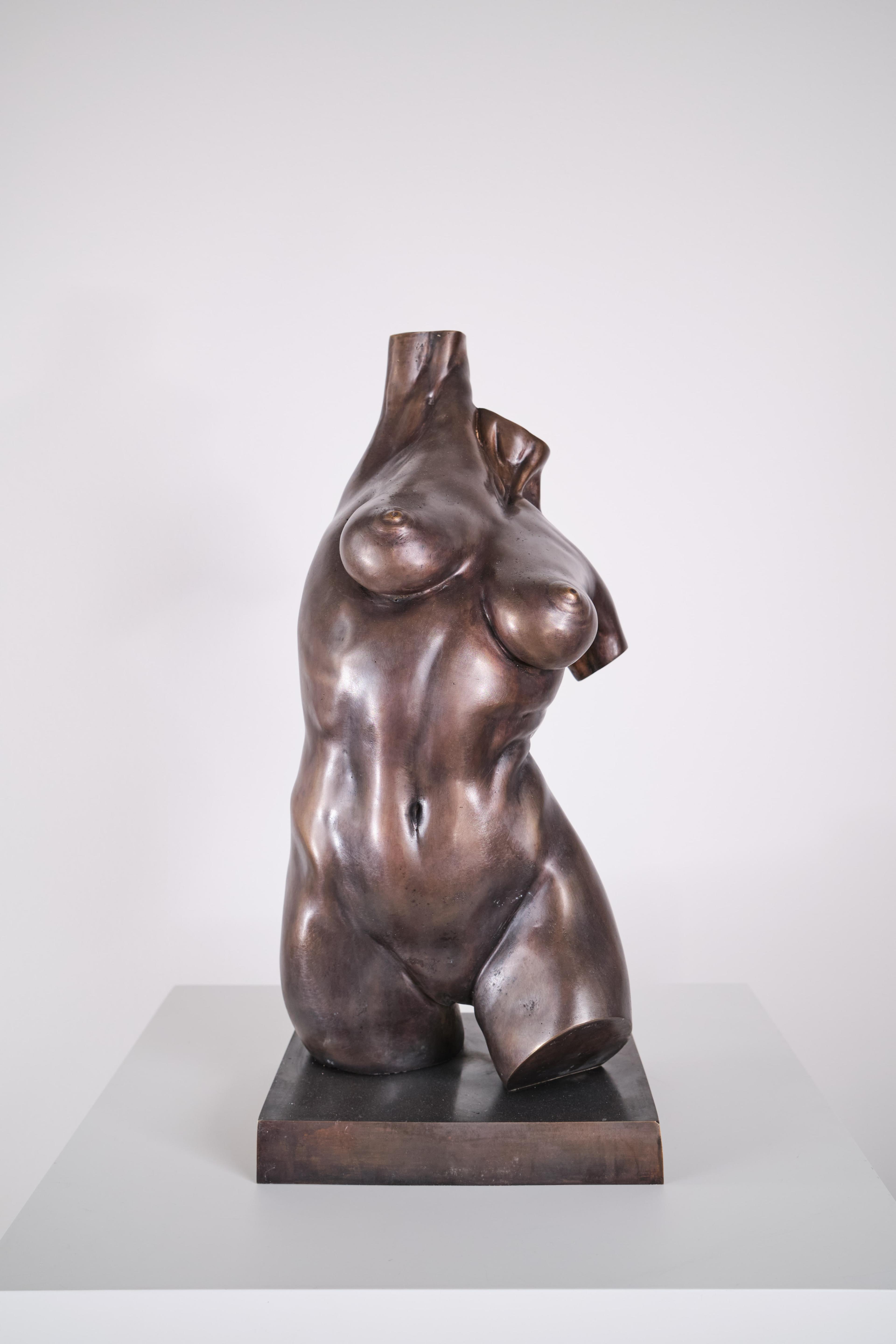 Женски торс I