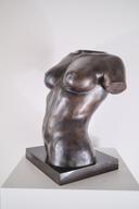 Женски торс II thumbnail 3