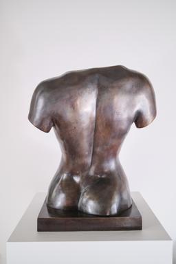 Женски торс II thumbnail 2