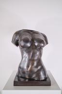 Женски торс II thumbnail 1