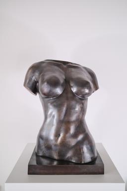 Женски торс II thumbnail 1