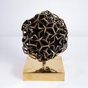 Органична геометрия - Звезда thumbnail 1