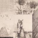 Запазена природа II - Мъртва природа thumbnail 2