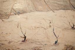 Лозе. Зима. thumbnail 2