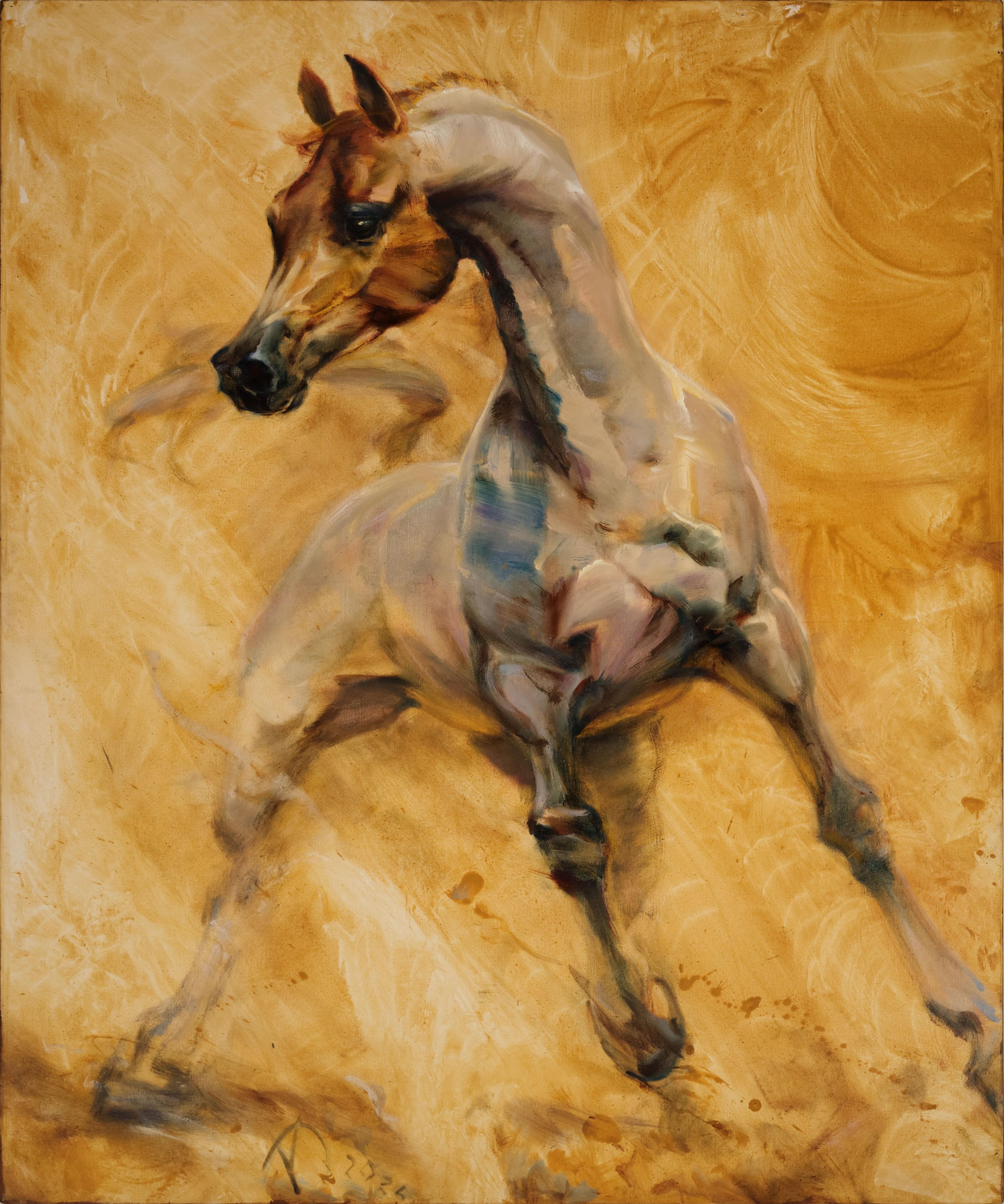 Арабски Кон