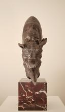 Носорог thumbnail 2