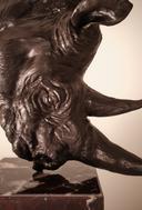 Носорог thumbnail 4