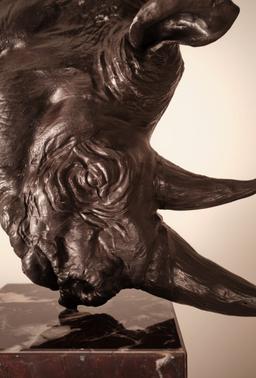 Носорог thumbnail 4