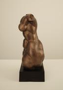 Женски Торс thumbnail 2