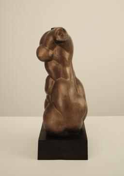 Женски Торс thumbnail 2