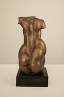 Женски Торс thumbnail 3