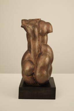 Женски Торс thumbnail 3