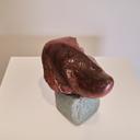 Червена глава thumbnail 1