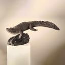 Крокодил thumbnail 1