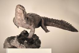 Крокодил thumbnail 2