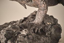 Крокодил thumbnail 4