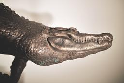 Крокодил thumbnail 6
