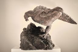 Крокодил thumbnail 7