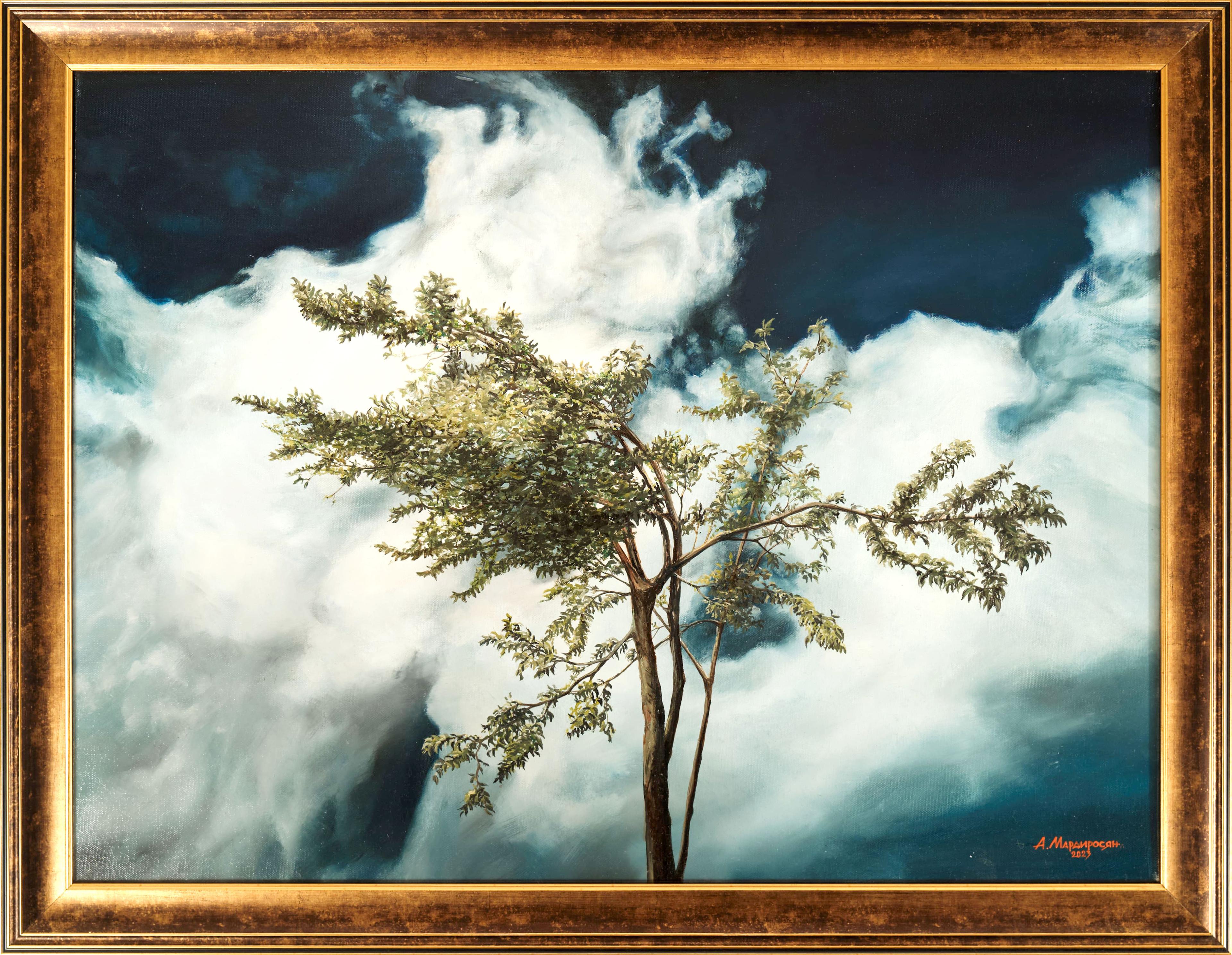 Дърво в облаци